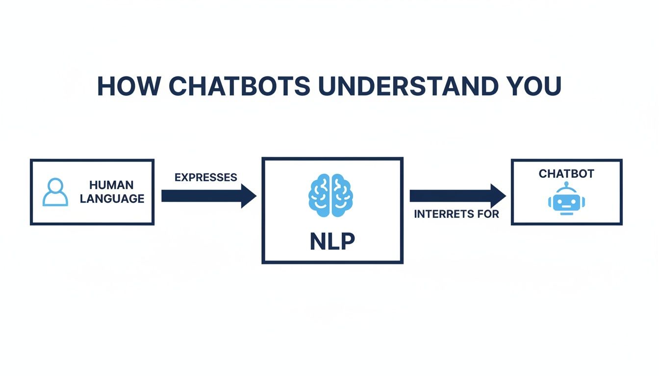 A Complete Guide to nlp and chatbots for Smarter Conversations